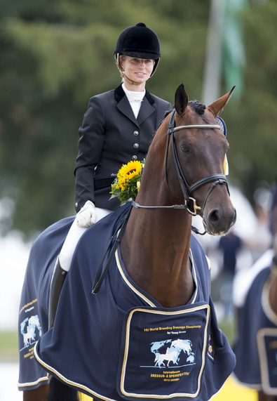 Frontalino U Shaped Bombato Equiline Cavallo