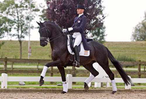 Boîte appâts rats moyen modèle BlocBox Beta - STABLE PRO - Écurie - Equestra